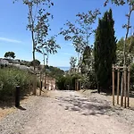 Royal Palm 10 Nerja