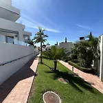 Royal Palm 10