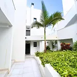 Royal Palm 10 Нерха