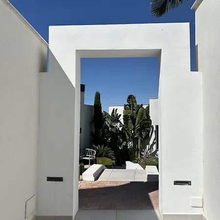 Royal Palm 10