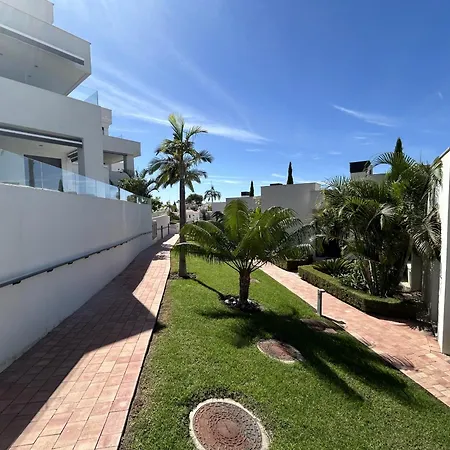 Royal Palm 10