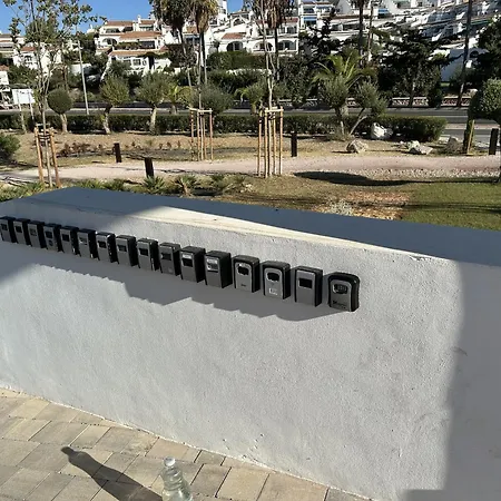 Royal Palm 10