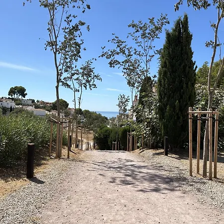 Royal Palm 10 Nerja